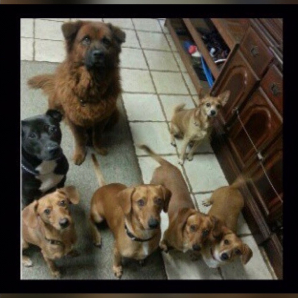 Meet your Posher, Michelle